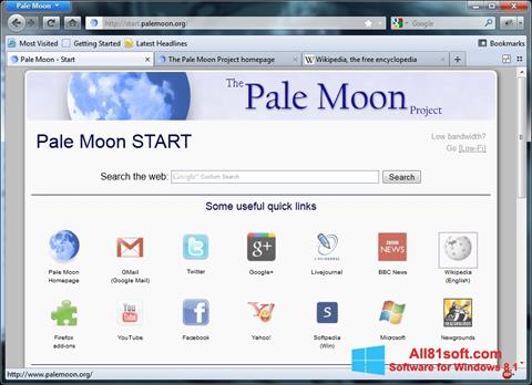 Ekrānuzņēmums Pale Moon Windows 8.1