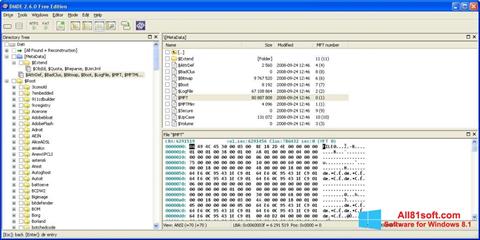 Ekrānuzņēmums DMDE Windows 8.1