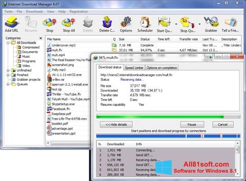 Ekrānuzņēmums Internet Download Manager Windows 8.1