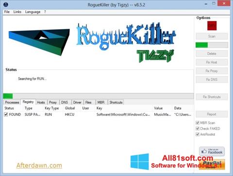 Ekrānuzņēmums RogueKiller Windows 8.1