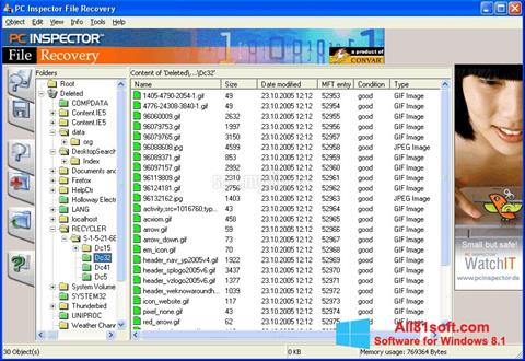 Ekrānuzņēmums PC Inspector File Recovery Windows 8.1