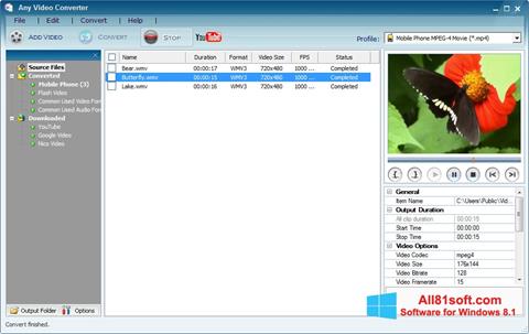 Ekrānuzņēmums Any Video Converter Windows 8.1